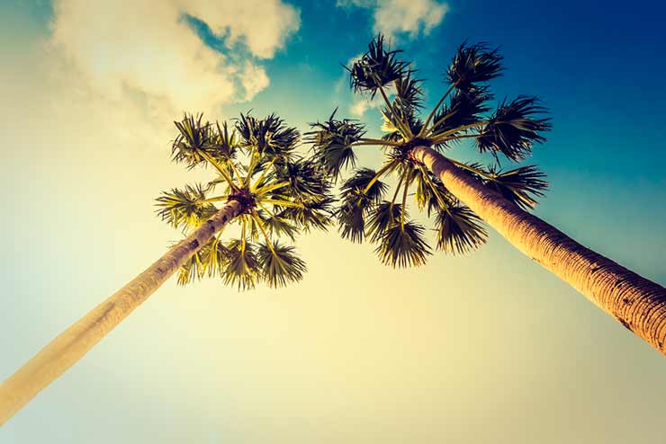 Como chegar em Miami, Florida?